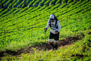 BIB: 
                            <button type="button" onclick="openModal(19160375)" class="btn btn-primary btn-sm float-right btn-popup" data-toggle="modal" data-target=".modal-high-quality">
                        <i class="fas fa-shopping-cart"></i> Add to Cart
                    </button>
                                            <button type="button" onclick="isThisMe(19160375, true)" class="btn btn-success btn-sm float-right btn-popup btn-isme hidden" data-toggle="tooltip" data-placement="bottom" title="นี่คือรูปของคุณใช่ไหม คลิกที่นี่เพื่อเอาเข้าอัลบั้ม">
                        <i class="fas fa-plus"></i> Add to album
                    </button>
                    <button type="button" onclick="isThisMe(19160375, false)" class="btn btn-warning btn-sm float-right btn-popup btn-isnotme hidden">
                        <i class="fas fa-ban"></i> Remove from album
                    </button>